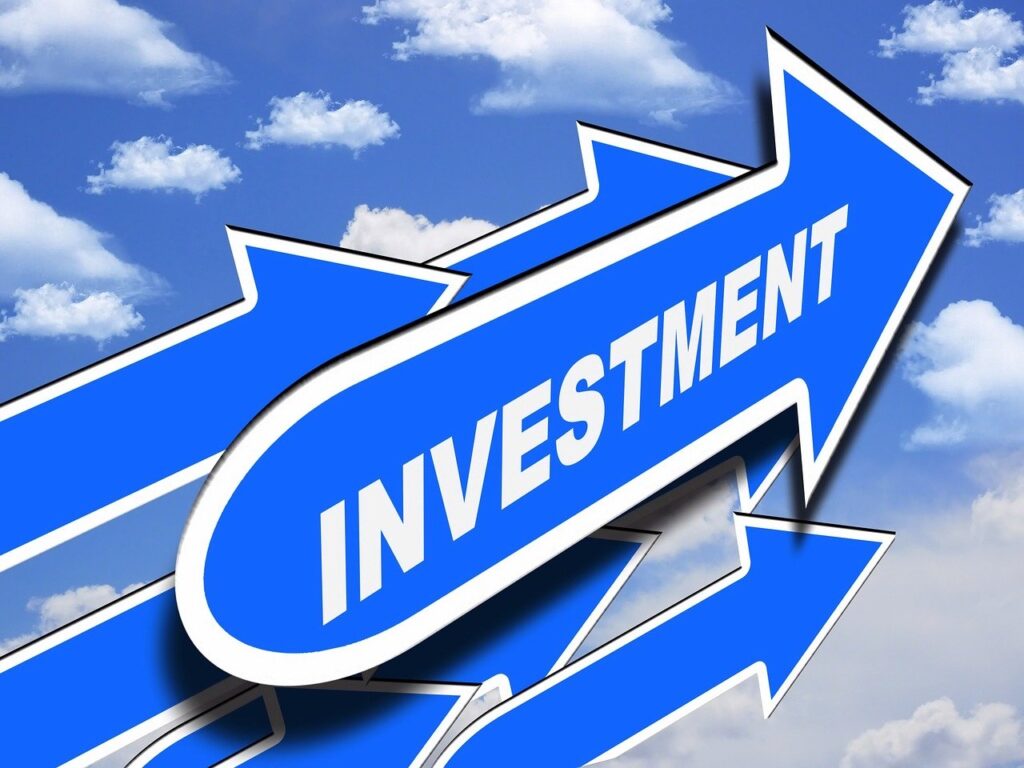 invest, money plant, investment-1346104.jpg