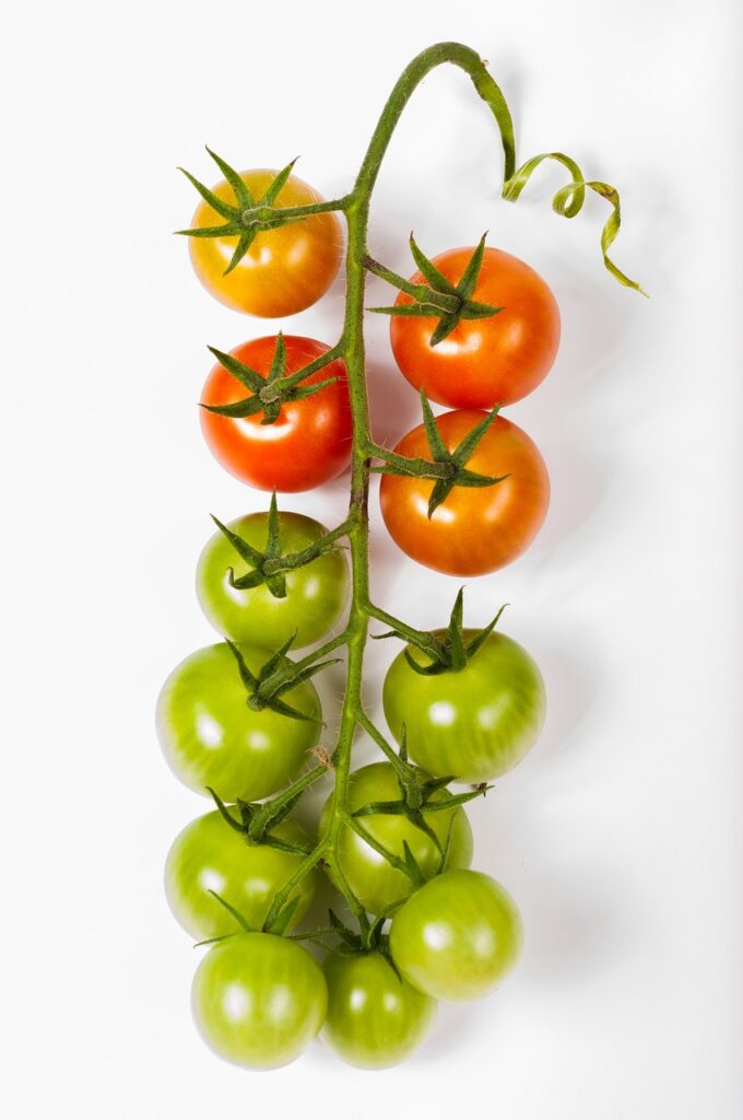 tomato, cherry, tomatoes-1744949.jpg